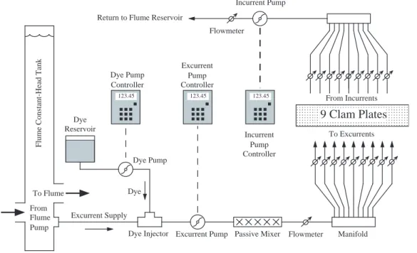 Fig. 5. Schematic of the plumbing system responsible for driving the incurrent and excurrent siphon flows, and for dosing the excurrent flows with fluorescent dye