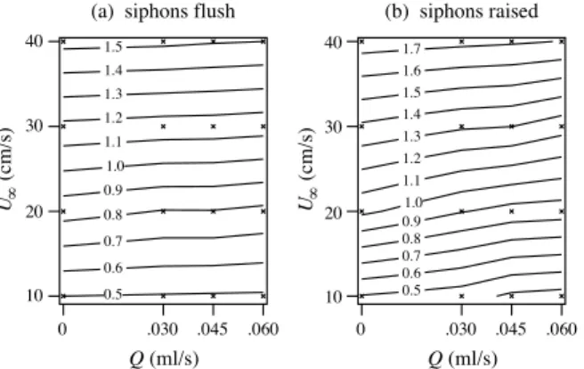 Fig. 11. Contours of shear velocity u τ as a function of freestream velocity U ∞ and clam pumping rate Q for flow over (a) flush siphons and (b) raised siphons