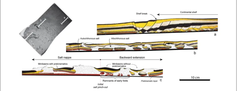 FIGURE 7 | Cross-sections showing the structures that characterize the main deformation domains in the model (See location in the insert: 215 h top view in Figure 5)