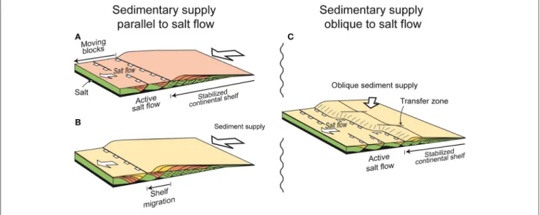 FIGURE 1 | Conceptual models for the development of a continental shelf at a passive margin involving active salt tectonics [Modified after (Fort and Brun, 2012)]: (A) and (B) show two successive stages of shelf break migration at a passive margin where se