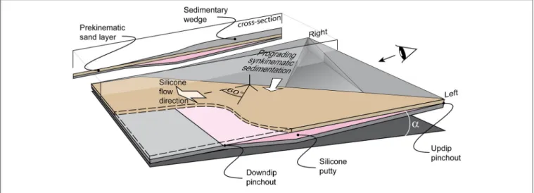 FIGURE 4 | Tri-dimensional sketch of the experimental setting used to study the growth of a continental shelf in a salt tectonic environment where the sediment supply (white arrow) is oblique to salt flow