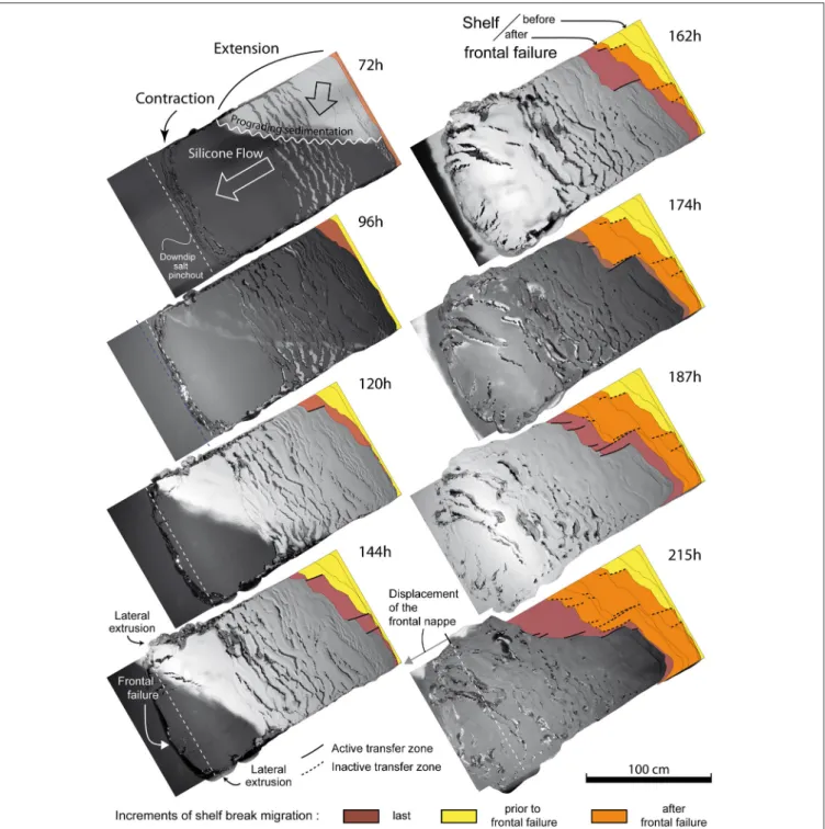 FIGURE 5 | Selection of model top views showing the progressive evolution of surface deformation and growth of the continental shelf