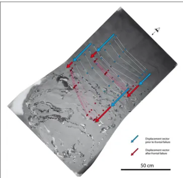 FIGURE 6 | Model top view at the end of experiment (215 h/9 days) with tracking of two series of material points initially located in the updip and downdip parts of the updip extensional domain (See 72 h top view in Figure 5).