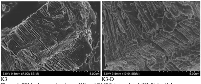 Figure 6: SEM micrographs of raw (K3) and DMSO-intercalated (K3-D) kaolinite. 