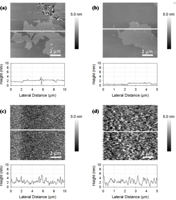Figure 2b shows an AFM image of the membrane based on the mixture of DPPC and rapeseed phospholipids (1:1)