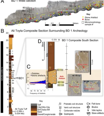 Fig. 3. Stratigraphic information on BD 1. (A) West wall section of BD 1 and associated artifacts