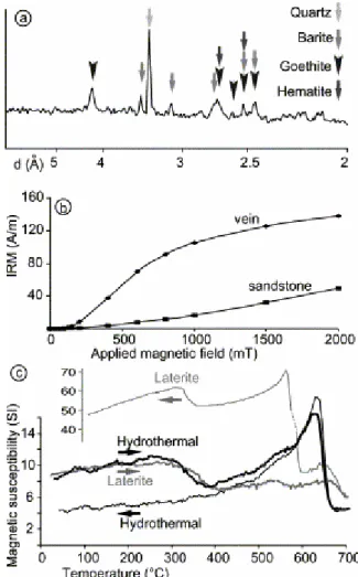 Fig. 6. Determination of the susceptibility carrier. (a) X-ray diffraction performed on hydrothermal sandstone