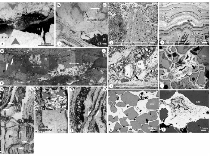 Fig. 5. Mineralogy of the fluorite-dominant stage and goethite microscopic textures. (a) Centripetal growth of  fluorite, forming a vug, filled by grained fluorite and barite spherolite (see Fig