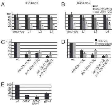 Fig. 2. H3K4 global methylation is differentially affected by loss of SET-2 and ASH-2