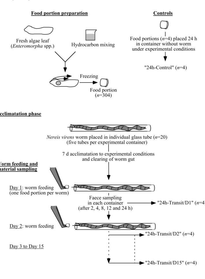 Figure 1: Experimental procedure. The various steps are described in detail in text. 