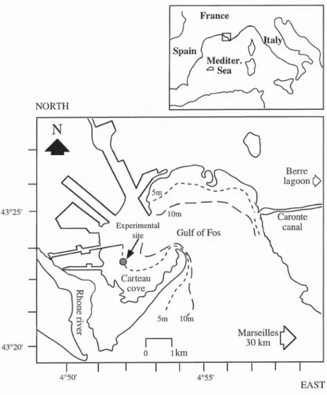 Figure 1. Experimental site in the Fos Gulf (Mediterranean Sea, France).