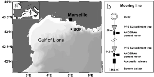 Fig. 1. (a) Study site location. (b) Schematic of the mooring line.