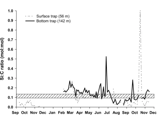 Fig. 7. Si:C molar ratios of the settling material in the surface trap (56 m) and the bottom trap (142 m) throughout the year