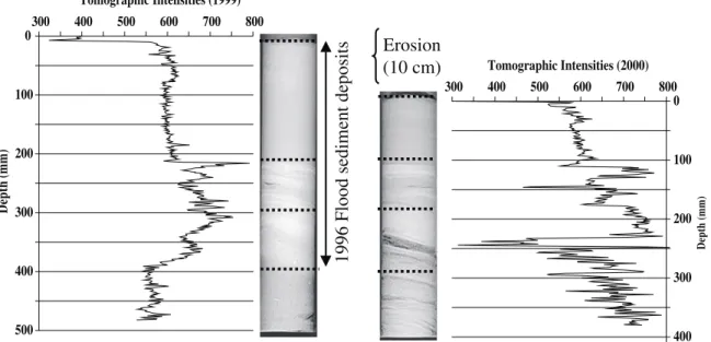 Fig. 7. Longitudinal scanographic profiles (tomogram) at station 13 in 1999 and 2000. Darker zones represented lower X-ray attenuation and lighter zones represented higher ones.