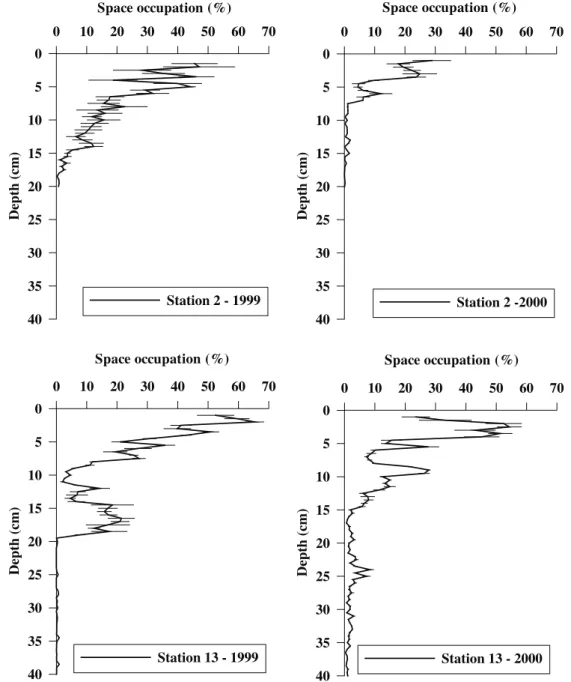 Fig. 8. Percentages of space occupied by biogenic structures (bioturbation profile) at stations 2 and 13 in 1999 and 2000
