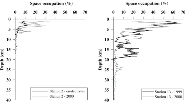 Fig. 9. Space occupation percentages of biogenic structures (bioturbation profile) at station 2 in the eroded layer which included biogenic structures of the deeper layer from 10 cm in 1999 (black curve), and in 2000 (sediment column 1 year after the erosi
