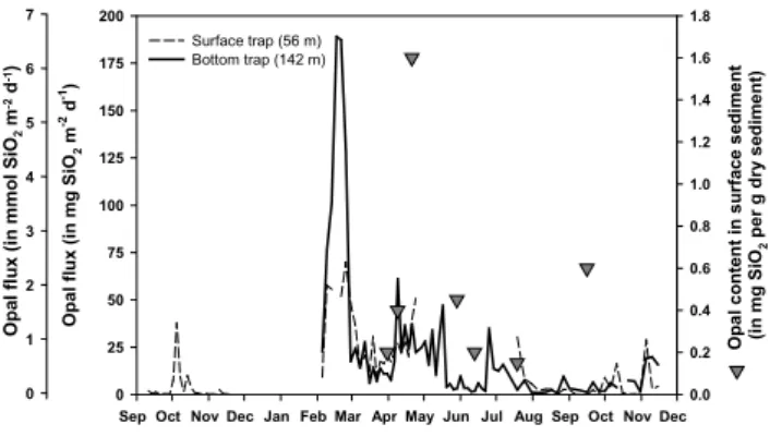 Fig. 4. Left axis: opal flux in mg m −2 d −1 and mmol m −2 d −1 in the surface trap (56 m) and the bottom trap (142 m) throughout the year