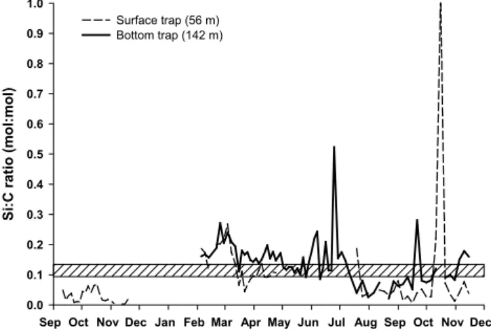 Fig. 6. Calcium carbonate (CaCO 3 )flux in mg m −2 d −1 and in mmol m −2 d −1 in the surface trap (56 m) and the bottom trap (142 m) throughout the year.