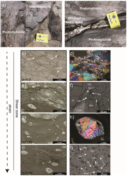 Figure  3.  Shear  zone  macroscopic,  petrographic,  and  microstructural  features:  (a)  outcrop  picture  showing  the  textural  variation  from  proto-  to  ultramylonite;  (b)  sheared  felsic  dyke  within  protomylonites; (c,e,g,i) Clippings of th