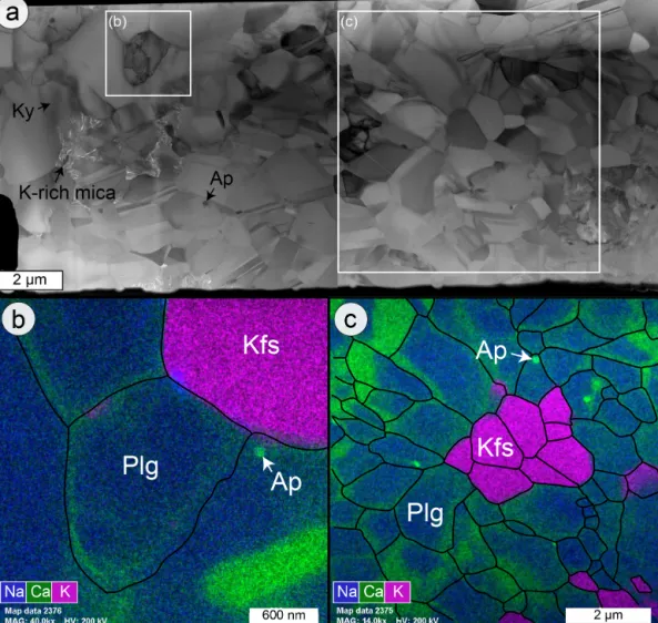 Figure 7. Microstructures of MF2. (a) Bright-field image of the entire FIB cut from Fig