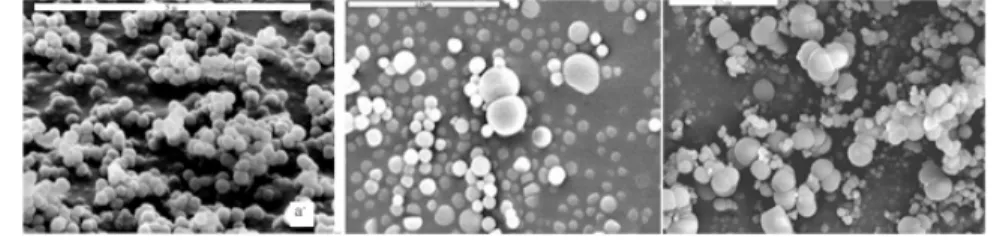 FIGURE 1. SEM images. a. Dust grains from Argon-silane plasma (scale 5  µ m)  b. Dust particles from Nitrogen-methane (2 %) plasma (scale 10 µm)  c