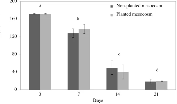 Figure  2.  13 C  dynamics  after  13 C-PHE  spiking  in  non-planted  (left)  and  planted  (right) 527 