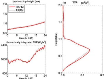 Fig. 11. Same as in Fig. 9 but for the “CAPM” case (solid) and for the “PAPM” case (dotted).