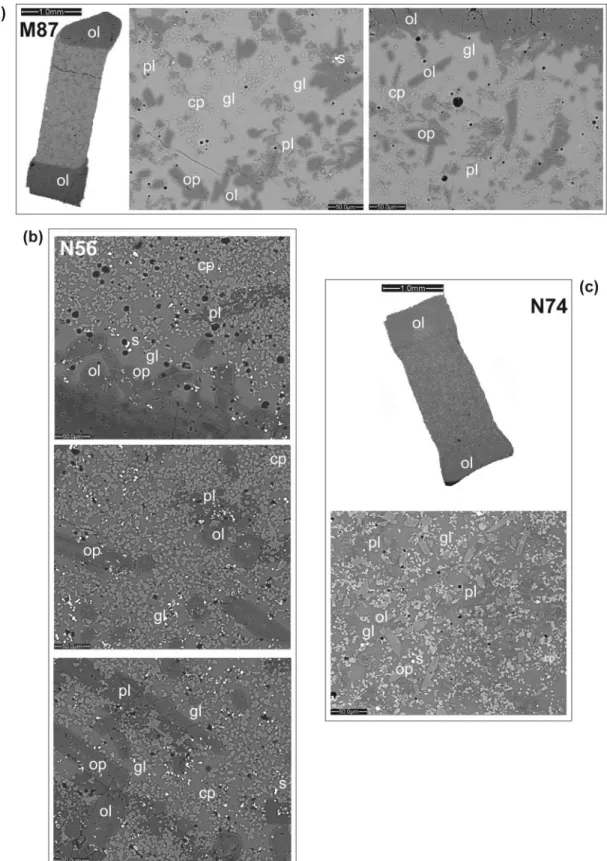 Fig. 2. Scanning electron microscope images of experimental charges illustrating the ‘sandwich’ of sample between olivine layers and glass-rich character of sample to avoid quench modification of glass composition (melt) by quench outgrowths on pyroxenes p