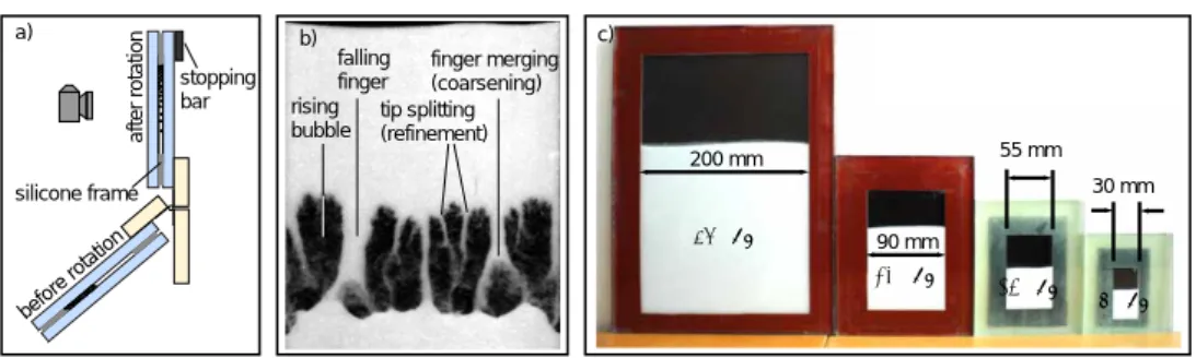 Fig. 1. (a) Experimental setup and principle, (b) typical granular Rayleigh-Taylor flow, where fingers of falling grains (white) form in the previously air-filled region (black) during an experiment, and (c) the experimental cells of different sizes with g