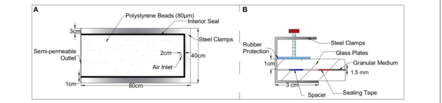 FIGURE 1 | Schematic diagram of the Hele-Shaw cell including the dimensions. (A) Top view of the Hele-Shaw cell including its dimensions