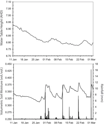 Fig. 5. Water table depth below the surface (top) and daily rainfall and soil moisture trends (bottom) at the central field site