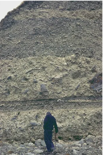 Fig. 11. Deposits of at least two major mass movement processes resembling rock avalanches intersected by fluvial sediment  accu-mulations