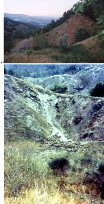 Figure 6. Landslides in clay shale along steep slopes: 