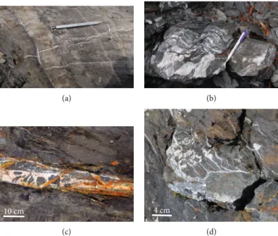 Figure 1: Examples of veins that may represent high ﬂ uid pressures in rocks. (a) Veins containing layer-parallel and perpendicular branches (Sestri Liguria, Italy)