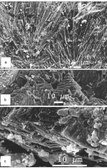 Figure 7. Cryogenic lamellar crystals: (a) dendritic assemblage of needles growing from calcitic dust; (b) the lamellar crystals assemble together to form needles; (c) detail of the lamellar crystals.