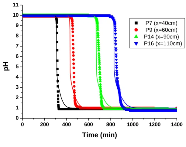 Fig. 3. Experiment 2: Measured (dots) and computed (lines) pH versus time during injection 2 