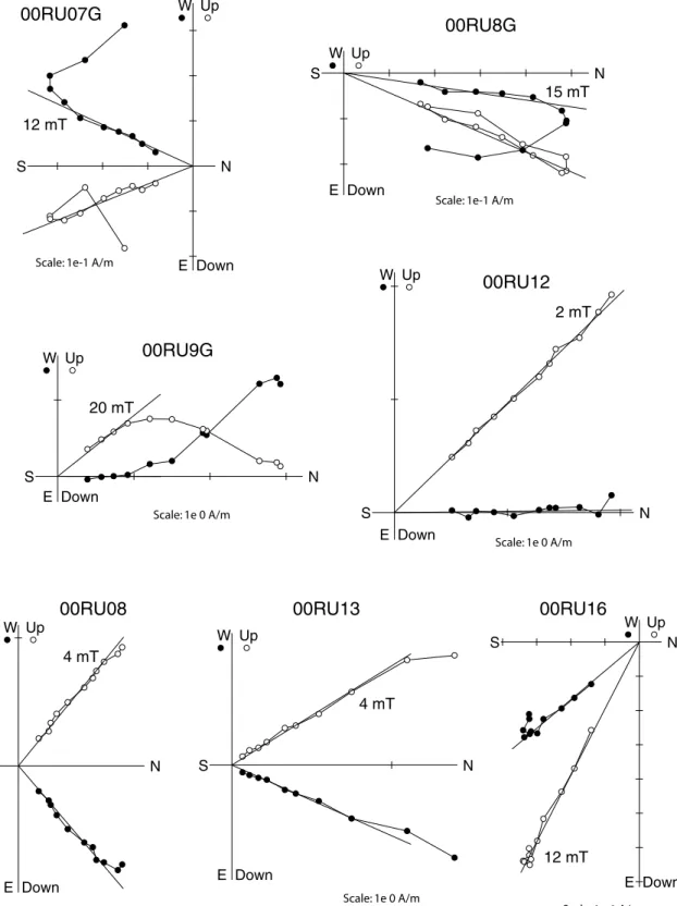 Figure 3. Typical Zijderveld (1967) projection diagrams obtained during alternating field (AF) demagnetization