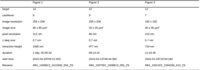 Figure 1  Figure 2  Figure 3  target  14  12  12  cantilever  9  9  7  image resolution  256 x 256  256 x 256  192 x 192  image size  80 x 80 µm²  20 x 20 µm²  40 x 40 µm²  pixel resolution  312 nm  80 nm  210 nm  z step size  0.7 nm  0.7 nm  0.7 nm  retra