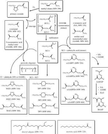 Fig. 2. Proposed reaction pathways for the ozonolysis of pure methyl oleate. Formation pathways of HMW organic peroxides are shown, including secondary ozonides (SOZ’s),  α-acyloxyalkyl peroxides (αAAHP’s), diperoxides, and monoperoxide oligomers