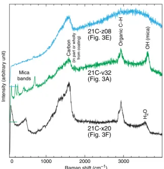 Fig. 4. Raman spectra of glassy matrix of selected grains. Spectra from three grains shown in Fig