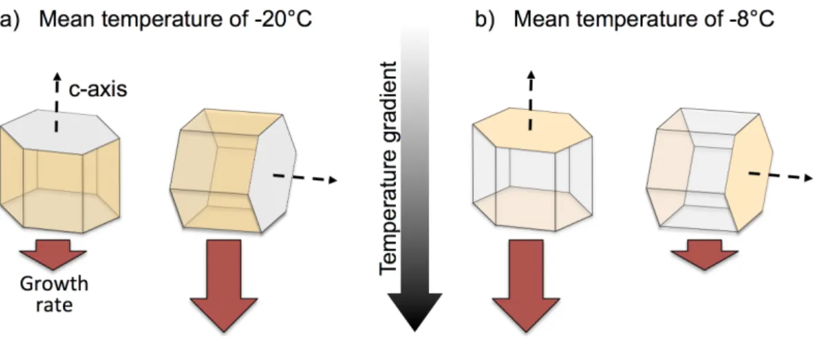 Figure 5: Schematic of the growth of a single ice crystal under a vertical temperature gradient at a mean temperature of a) -20 o C and b) -8 o C