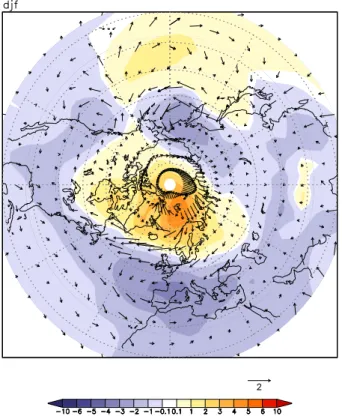 Fig. 4. Boreal winter sea level pressure and surface wind anomaly for 115 minus 120 ky BP.