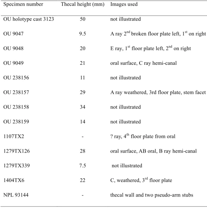 Table 1. Eumorphocystis specimens studied, with sizes of specimens, and comments on image  821 