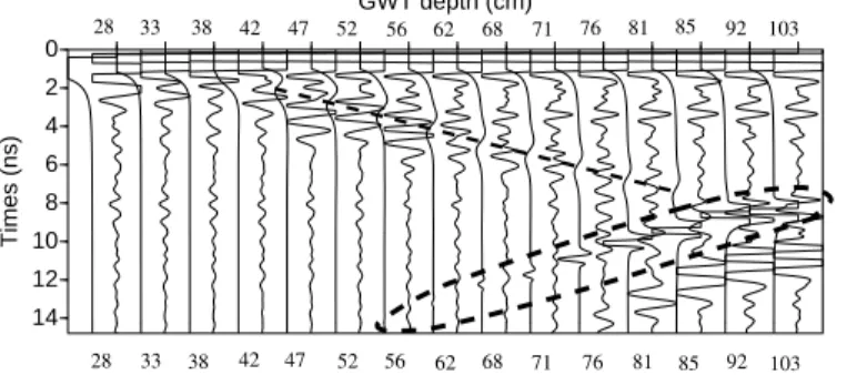 Fig. 9. Comparison at each GWT depth between 2D simulated traces using RC3 (first trace) and measured traces in a laboratory experiment (second trace)
