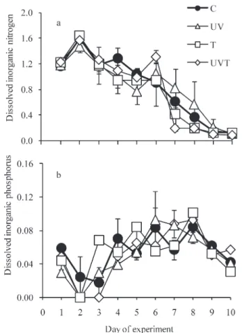 Fig. 4. Abundances of (a) female copepods, (b) male copepods, and (c) nauplii under different treatments: Control (C); 20 % increase in ultraviolet B incidence (UV); 3 u C increase in temperature (T); simultaneous increases in temperature (3 u C) and ultra