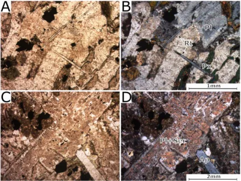 Figure 6  Thin-sections micro-photographs (right XPL) of gabbro samples from Viejita creek, 392  A-B) plagioclase and pyroxene, traversed by acicular rutile crystals; C-D) pronounced 393  replacement of plagioclase by sericite and of olivine by serpentine 