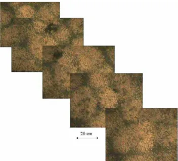 Fig. 3. Progressive decreases in water level at Lake Quilotoa, as recorded by calcium carbonate precipitations.