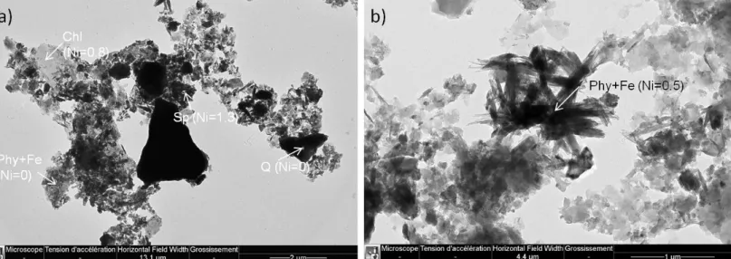 Figure 4:  Transmission  electron  micrographs  of  Barro  Alto  suspended  particulate  matter