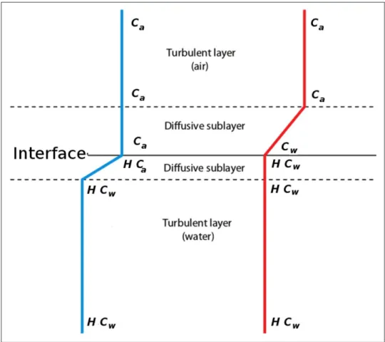 Figure 2: Conceptual view of boundary layer concentration profiles. Resistance to gas transfer is concentrated  in the diffusive sublayers