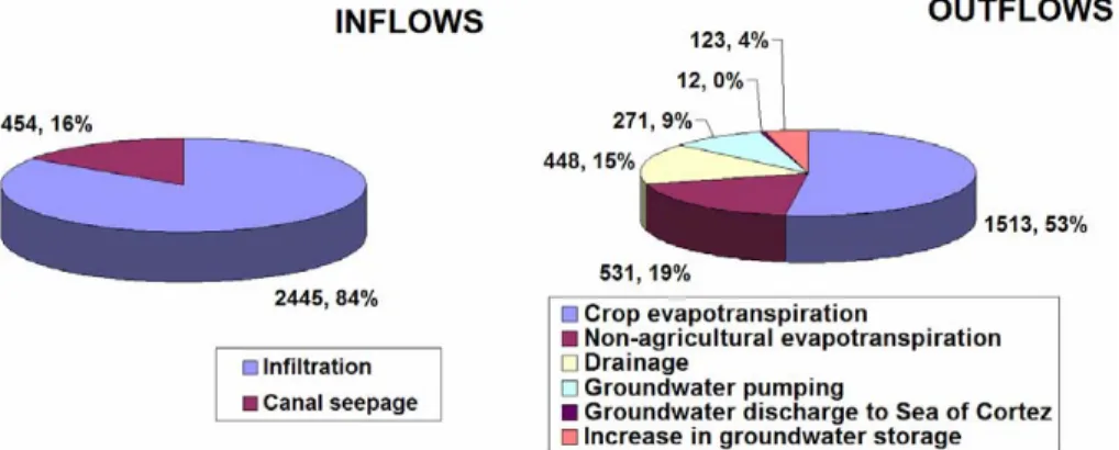 Fig. 11. Pie chart of the annual simulated water balance, averaged over the period 1974–1997 expressed as MCM and as percentages of the total inflows and outflows